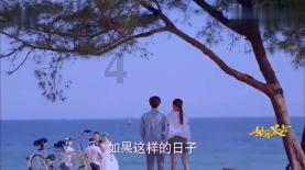 动物帮帮忙保卫家园